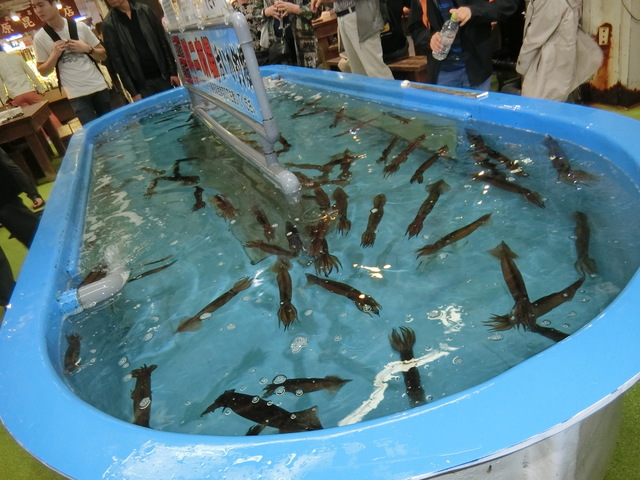 釣ったイカをその場で食べる 函館イカ釣り体験 函館大沼旅行 ナオーキの北海道めぐり